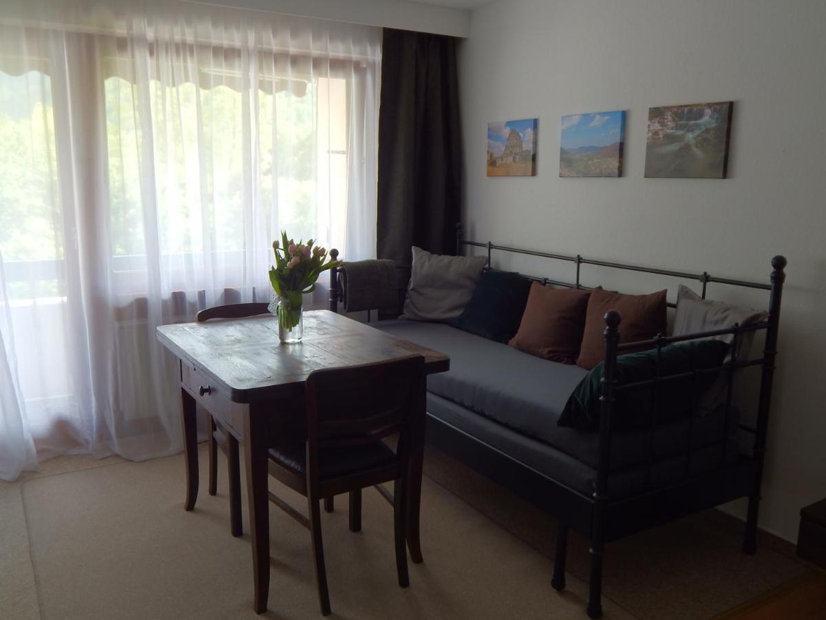 Free Apartment - Burgblick 바트우라하 외부 사진